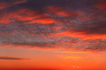 Image showing Sunset Cloudy Sky With Clouds. Sunset Sky Natural Background. Dramatic Sky. Sunset In Yellow, Orange, Pink Colors