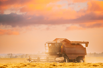 Image showing Combine Harvester Working In Field. Harvesting Of Wheat In Summer Season. Agricultural Machines Collecting Wheat Seeds