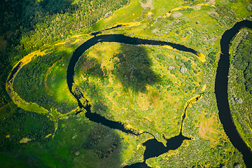 Image showing Aerial View Green Forest Woods And River Landscape In Sunny Spring Summer Day. Top View Of Beautiful European Nature From High Attitude In Autumn Season. Drone View. Bird\'s Eye View