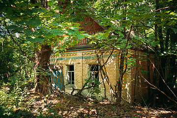 Image showing Belarus. Abandoned House Overgrown With Trees And Vegetation In Chernobyl Resettlement Zone. Chornobyl Catastrophe Disasters. Dilapidated House In Belarusian Village. Whole Villages Must Be Disposed