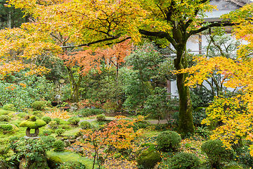 Image showing Japanese temple 