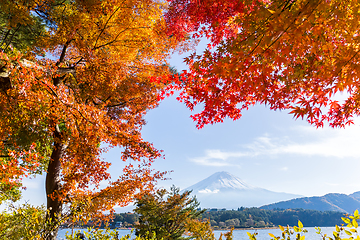 Image showing Mt. Fuji in autumn with red maple leaves