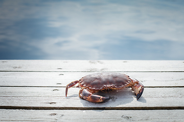 Image showing alive crab standing on wooden floor