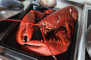 Image showing freshly cooked lobster lying on baking tray