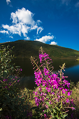 Image showing Lake in the Altai Mountains