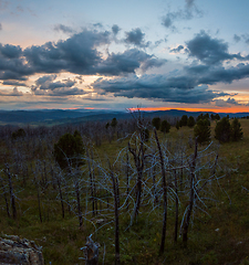 Image showing Landscape with dead forest