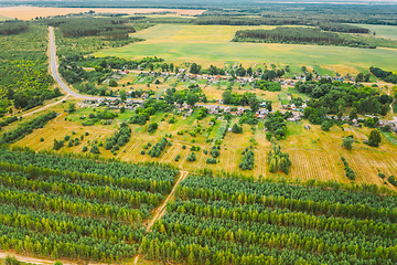 Image showing Aerial View Green Forest Deforestation Area Landscape Near Village. Top View Of New Young Growing Forest. European Nature From High Attitude In Summer