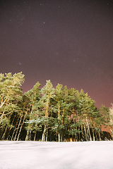 Image showing Night Starry Sky With Glowing Stars. Bright Glow Of Sky Stars Above Winter Pines Forest. Copy Space. Natural Night Starry Sky