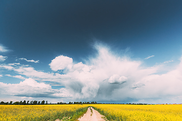 Image showing Dramatic Rain Sky With Rain Clouds On Horizon Above Rural Landscape Canola Colza Rapeseed Field. Country Road. Agricultural And Weather Forecast Concept