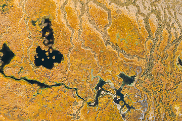 Image showing Miory District, Vitebsk Region, Belarus. The Yelnya Swamp. Upland And Transitional Bogs With Numerous Lakes. Elevated Aerial View Of Yelnya Nature Reserve Landscape. Famous Natural Landmark