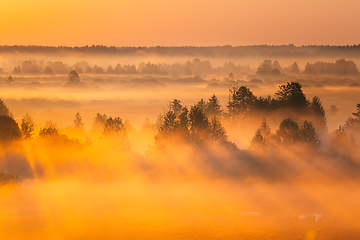 Image showing Amazing Sunrise Light Above Misty Landscape. Scenic View Of Foggy Morning In Misty Forest Park Woods. Summer Nature Of Eastern Europe. Sunset Dramatic Sunray Light Sunbeam
