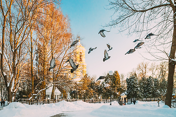 Image showing Gomel, Belarus. Winter City Park. Pigeons Doves Birds Are Flying Near Peter And Paul Cathedral In Sunny Winter Day. Famous Local Landmark In Snow