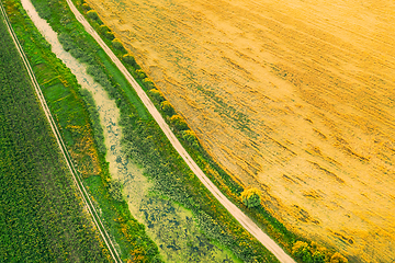 Image showing Aerial View Of Countryside Road Through Summer Rural Field. Road Between Corn Maize Plantation And Young Wheat Landscape