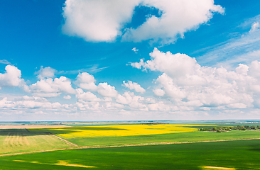 Image showing Aerial View Of Agricultural Landscape With Flowering Blooming Rapeseed, Oilseed And Green Young Wheat Field In Spring Season. Blossom Of Canola Yellow Flowers. Beautiful Rural Landscape.