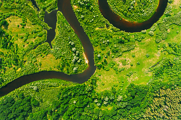 Image showing Aerial View Of Summer Curved River Landscape In Sunny Summer Day. Top View Of Beautiful European Nature From High Attitude In Summer Season. Drone View. Bird\'s Eye View.