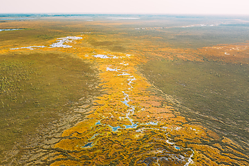 Image showing Miory District, Vitebsk Region, Belarus. The Yelnya Swamp. Upland And Transitional Bogs With Numerous Lakes. Elevated Aerial View Of Yelnya Nature Reserve Landscape. Famous Natural Landmark