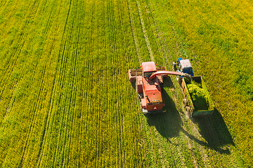 Image showing Aerial View Of Rural Landscape. Combine Harvester And Tractor Working Together In Field. Harvesting Of Oilseed In Spring Season. Agricultural Machines Collecting Blooming Rapeseeds Canola Colza. Elev