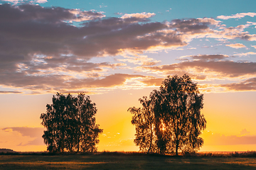 Image showing Sun Shining Through Tree Canopy. Trees Woods In Meadow During Sunset Sunrise. Bright Colorful Dramatic Sky And Dark Ground With Trees Silhouettes Landscape