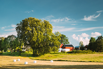 Image showing Swedish Rural Landscape Field With Dry Hay Bales Rolls After Harvest In Sunny Evening. Farmland With Red Farm Barn In Village