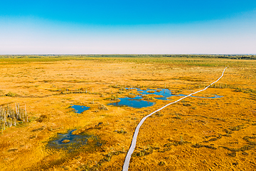 Image showing Miory District, Vitebsk Region, Belarus. The Yelnya Swamp. Aerial View Of Yelnya Nature Reserve Landscape. Narrow Wooden Hiking Trail Winding Through Marsh. Cognitive Boardwalk Trail Over A Wetland