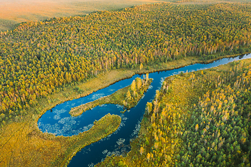 Image showing Domzheritsy, Vitebsk Region, Belarus. Buzyanka River. Aerial View Of Summer Curved River Landscape In Autumn Evening. Top View Of Beautiful European Nature From High Attitude In Summer Season