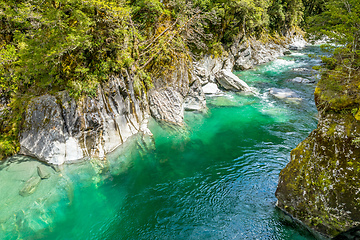 Image showing Haast River Landsborough Valley New Zealand