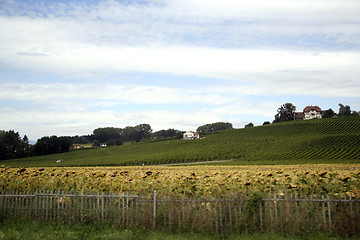 Image showing Country landscape