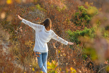 Image showing Slender beautiful girl walks through the forest making her hands an airplane, a view from the back