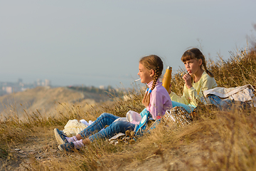 Image showing Children on a picnic drink water and eat sweets