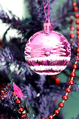 Image showing Christmas ornaments on tree.