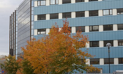 Image showing Blue Office building. 