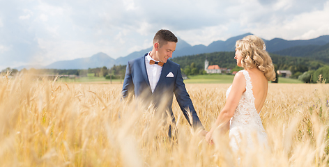 Image showing Groom and bride holding hands in wheat field somewhere in Slovenian countryside.