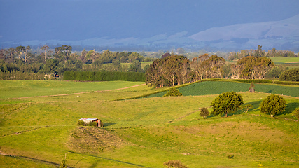 Image showing sunset landscape New Zealand north island