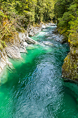 Image showing Haast River Landsborough Valley New Zealand