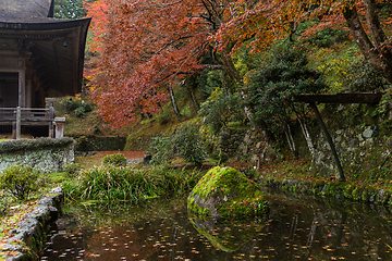 Image showing Japanese garden in Autumn season
