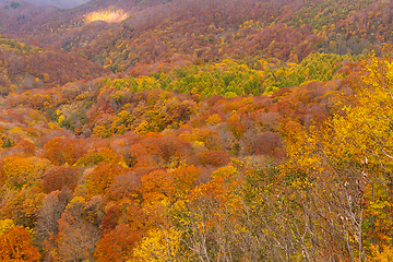Image showing Autumn landscape in mountain