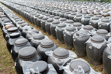 Image showing Production of Vinegar at outdoor