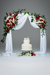 Image showing cake with bone for dog wedding