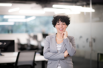 Image showing Portrait of successful female software developer