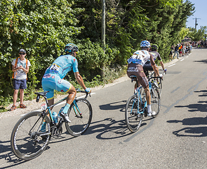 Image showing Group of Cyclists on Mont Ventoux - Tour de France 2016