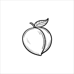 Image showing Plum hand drawn sketch icon.