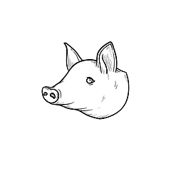 Image showing Pork meat hand drawn sketch icon.