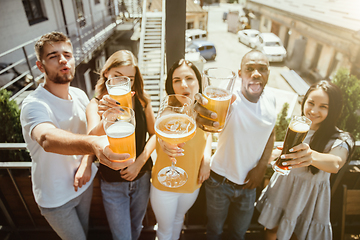 Image showing Young group of friends drinking beer and celebrating together