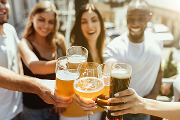 Image showing Young group of friends drinking beer and celebrating together