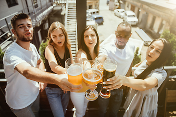 Image showing Young group of friends drinking beer and celebrating together