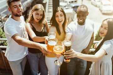 Image showing Young group of friends drinking beer and celebrating together