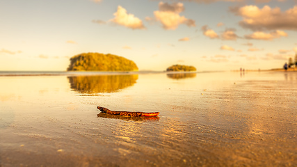 Image showing small branch at Bay of Plenty beach New Zealand