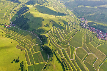 Image showing aerial view vineyard scenery at Kaiserstuhl Germany