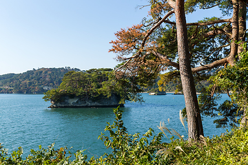 Image showing Japanese Matsushima