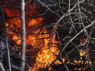 Image showing Fire